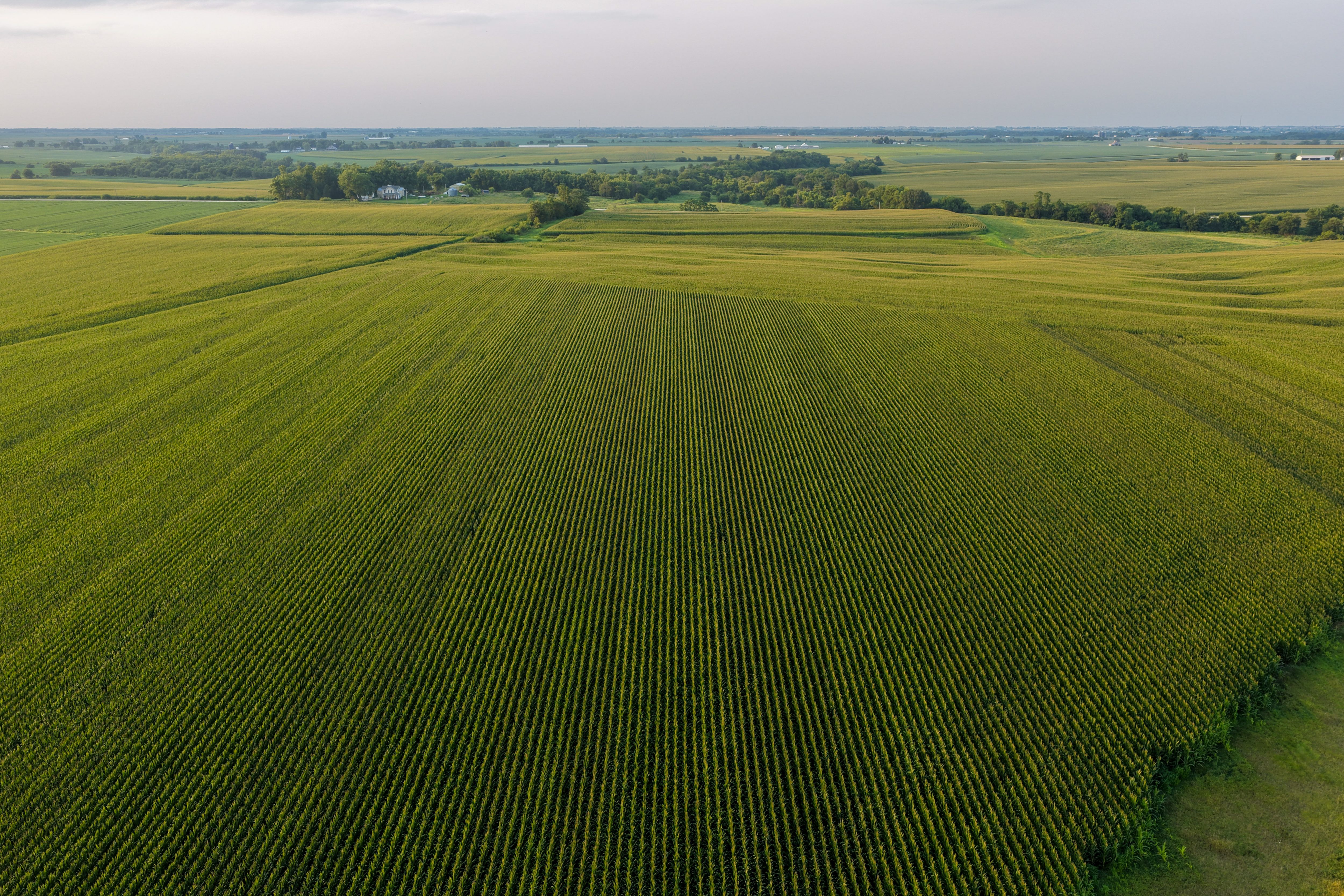 Listing Photo: Land Auction Washington County Iowa-15
